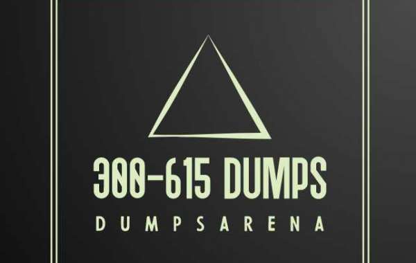 300-615 dumps withinside the simply