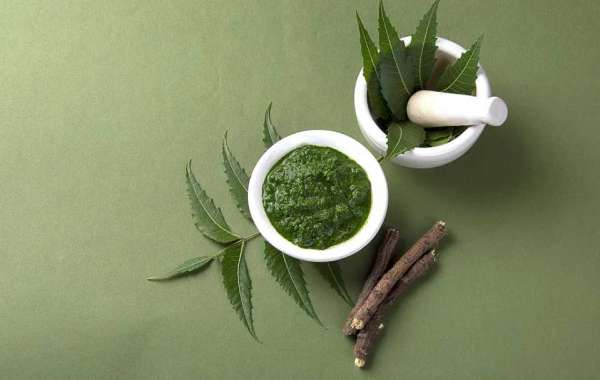 Neem Extracts Market Key Players Strategies, Segmentation and Revenue Share Analysis By 2028