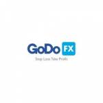 GoDoFX Profile Picture