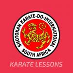 karate lessons Profile Picture