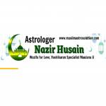 Nazir husain ji Profile Picture