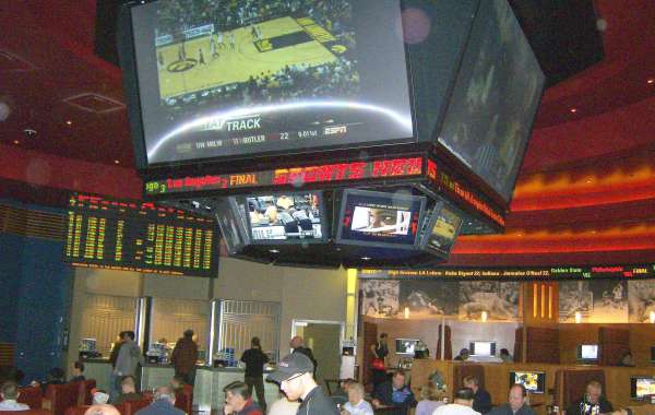 How to launch successful online sports betting startup in India