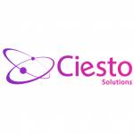 Ciesto Solutions profile picture