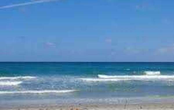 West Boca News