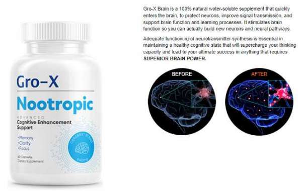 Gro-X Brain Nootropic
