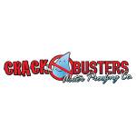 Crack Busters Profile Picture