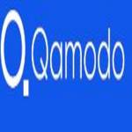 Qamodo Profile Picture