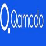 Qamodo profile picture