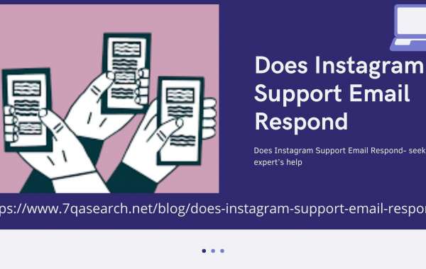 Does Instagram Support Email Respond- seek expert’s help