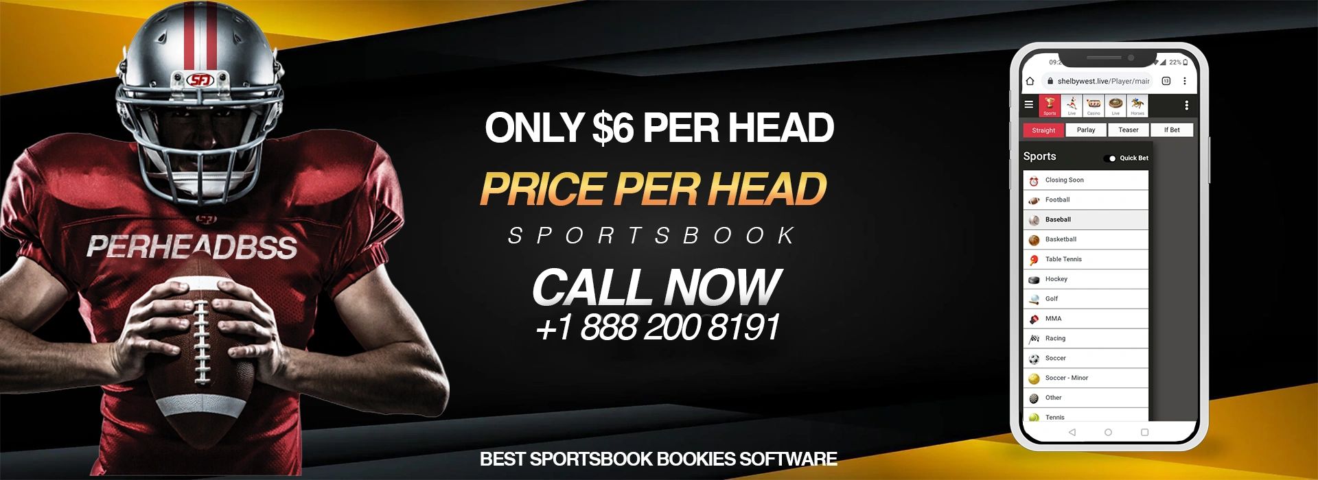 Soccer, Football, Baseball and MMA Sports Betting Sportsbook Software