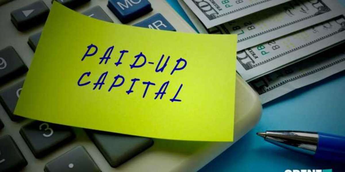 Paid up Capital characterstics