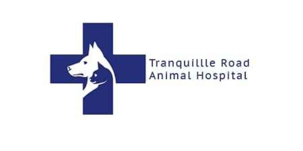 A Full-Service Veterinary Clinic in Kamloops