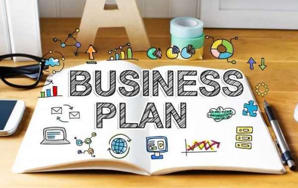 5 Reasons to Hire a Business Plan Writer