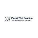 Planet Web Solutions profile picture