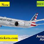 American Airlines Booking Profile Picture