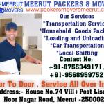 Meerut packers profile picture