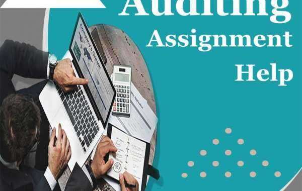 Struggling with your auditing assignments? Not anymore!
