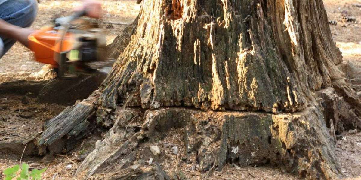 What is the fastest way to get rid of a tree stump?