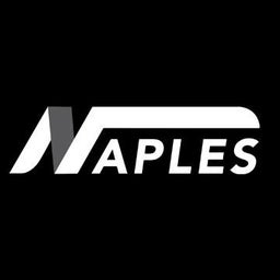 How Can Snow Removal Services Help Customers Have A Better Experience? | Naples Roofing : naplesroofing1