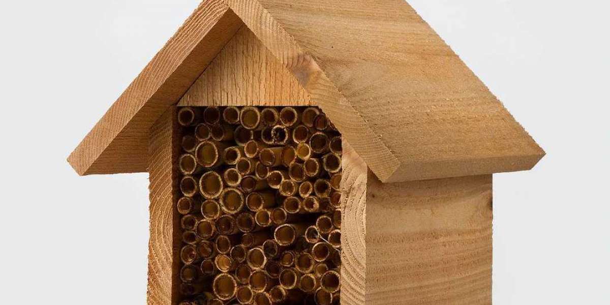 Products You Can Buy to Help Save the Mason Bees