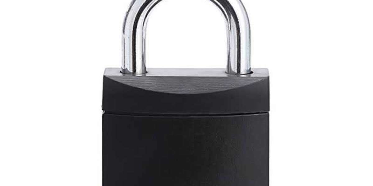 Features Of Removable Shackle Padlock