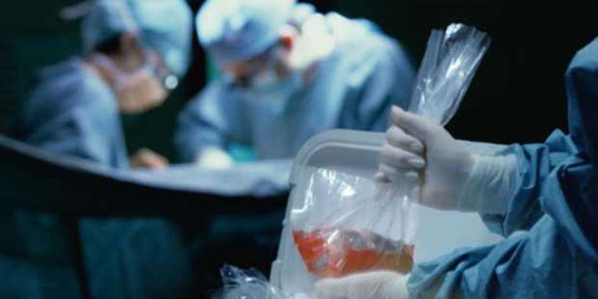 GCC Organ Preservation Market Latest Trends, Size, Price Overview Report 2026