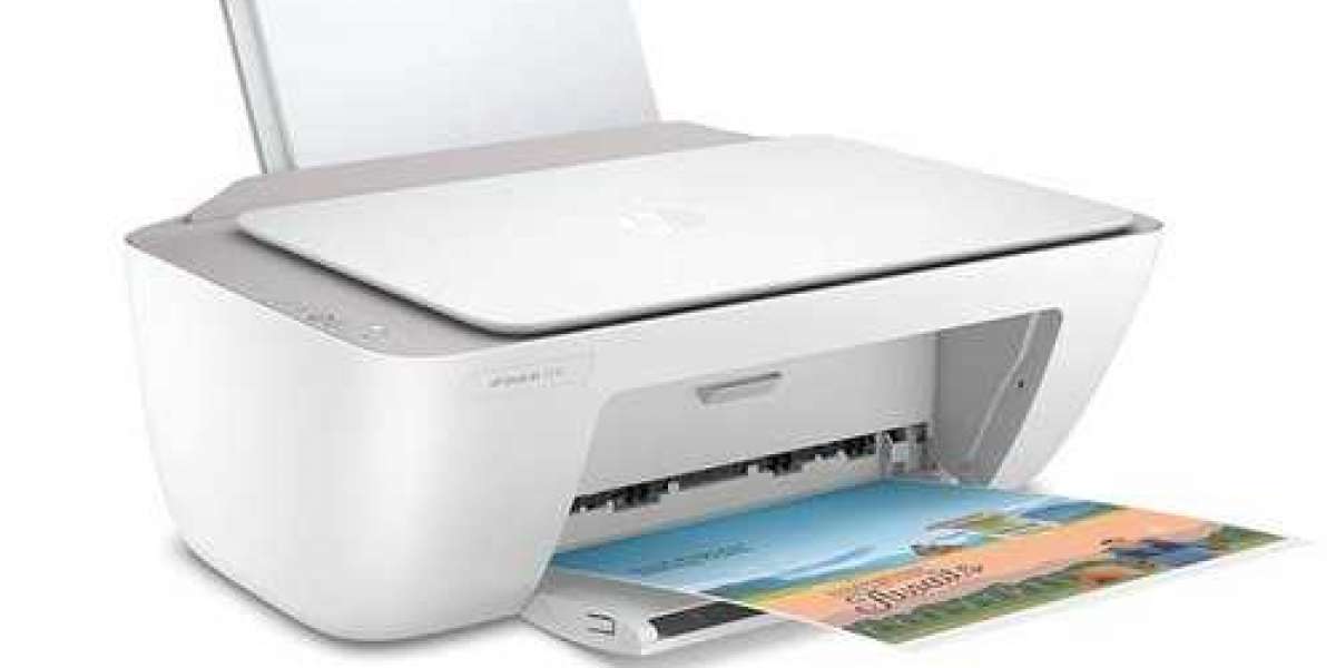 Steps to Print Multiple 4X6 Photos on HP Printer