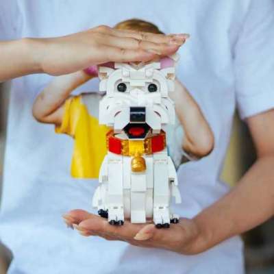 Westie Toy Blocks Profile Picture