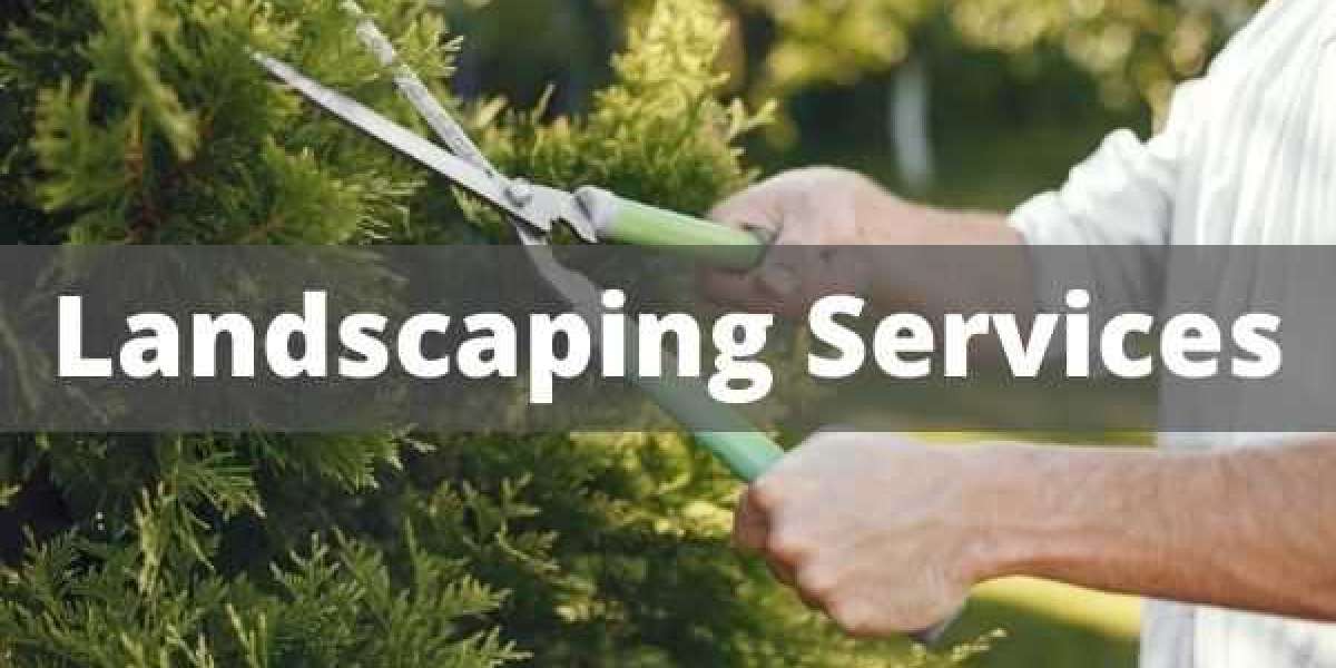 Best landscaping companies North Reading MA