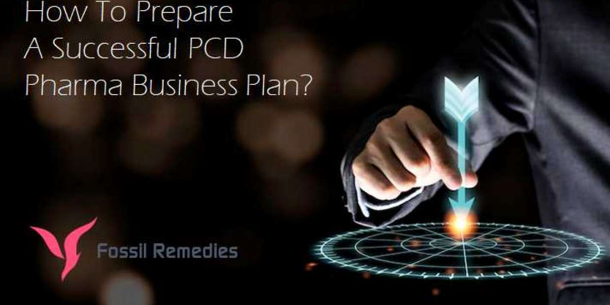 How To Prepare A Successful PCD Pharma Business Plan?