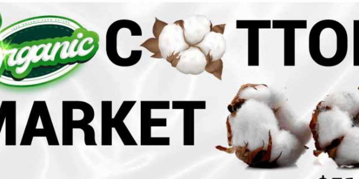 Organic Cotton Market Value, Forecast, Growth Strategies, Benefits, Size, Expected Growth, Demand by 2028