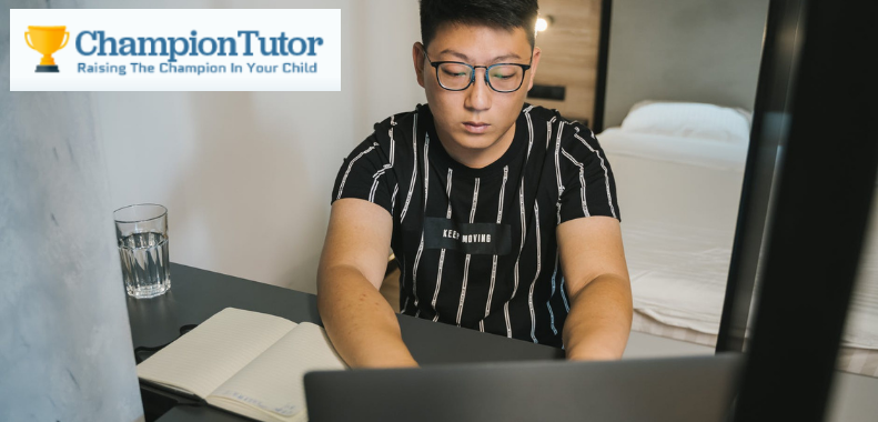 Why Hiring A Private English Tutor Is Beneficial?