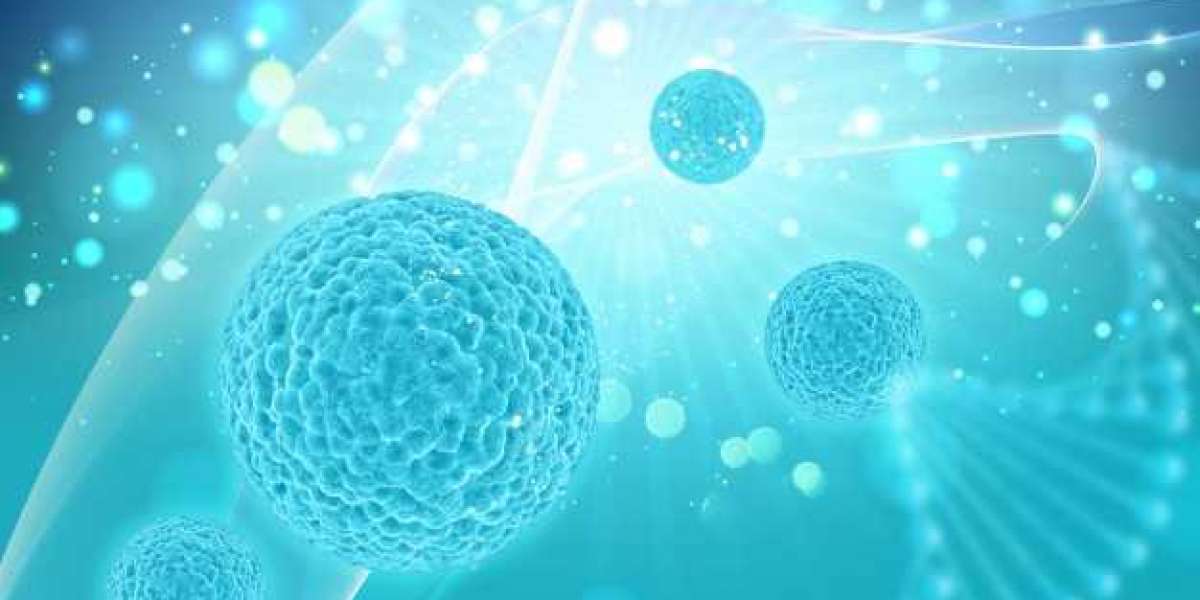 Apoptosis Assay Market Revenue Growth & Opportunities by 2026 With Trends and Competitive Analysis