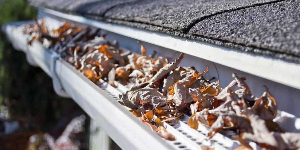 Clean Gutters in Newton for a Safe Home