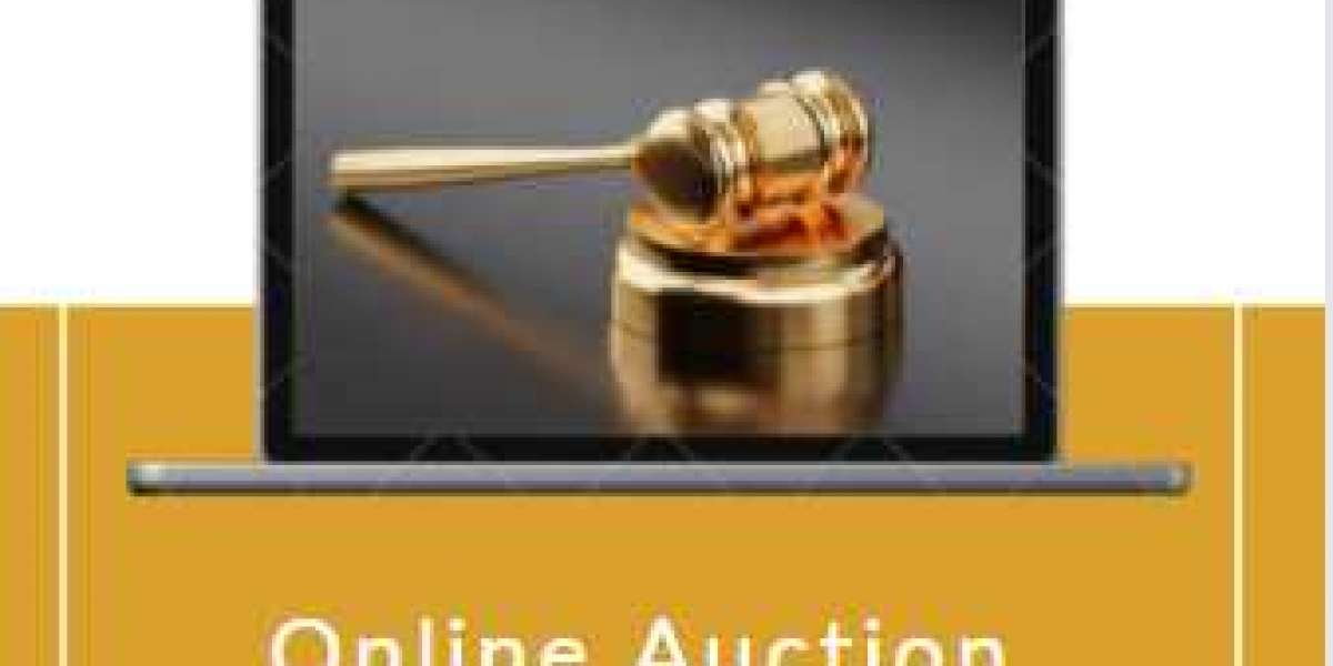 Best time to bid! Software to Assist You for Online Auction.