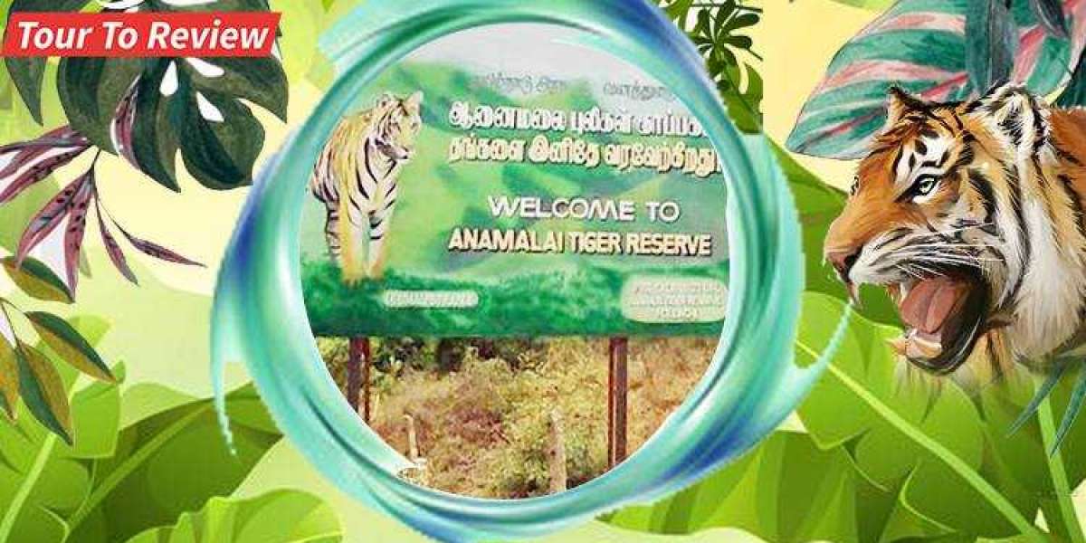 Explore Anamalai Tiger Reserve