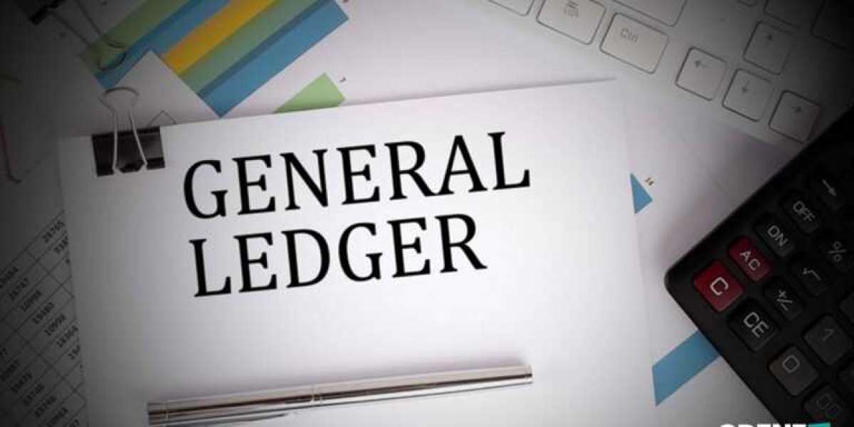 What is a general ledger account?