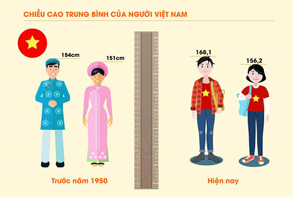 Chiều cao cân nặng chuẩn của nữ là bao nhiêu?