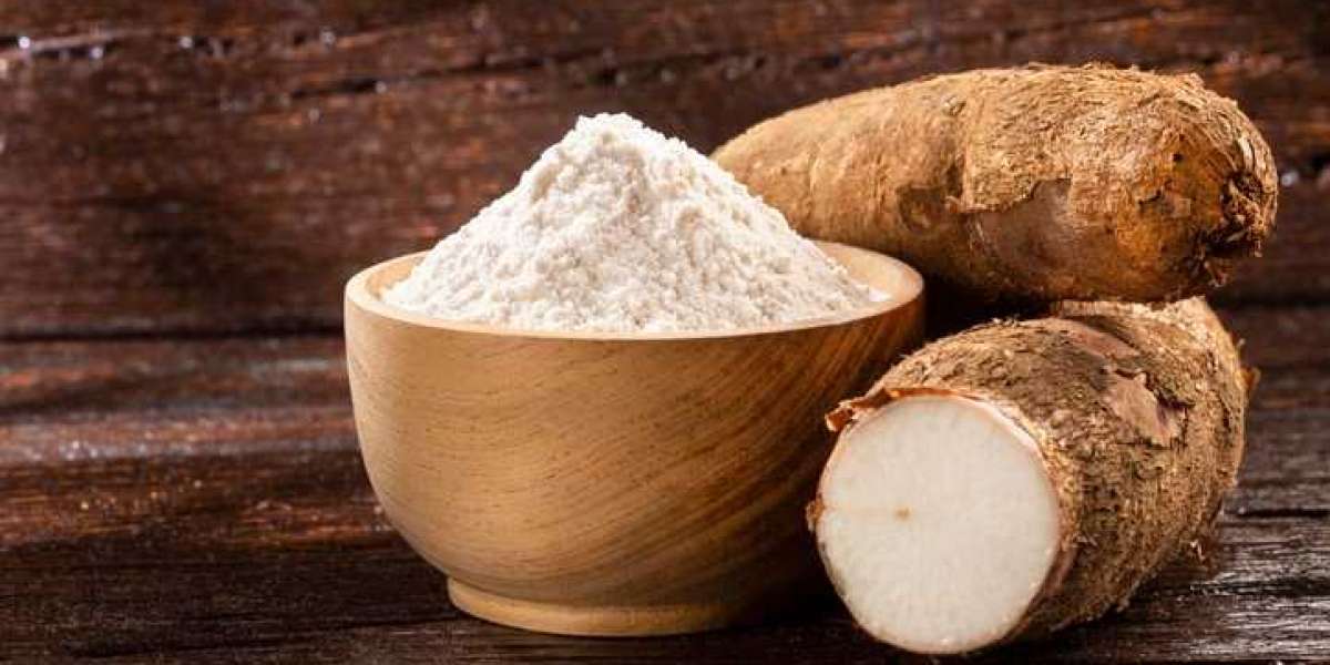 Cassava Starch Market Scope, Share, Key Driver, Key Players, Analysis and Forecast 2026