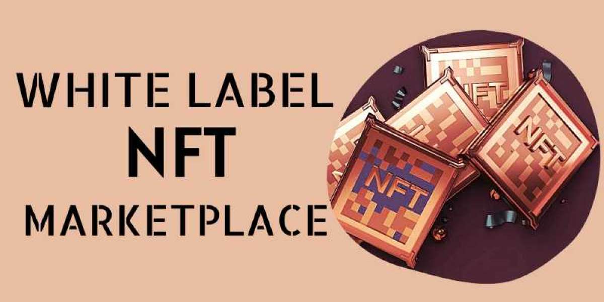 Best White label NFT Marketplace Development Company in USA
