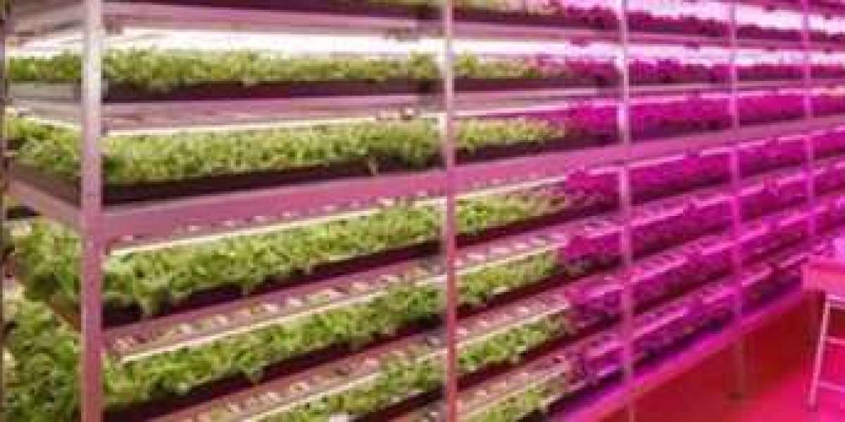 LED Plant Lighting Factory Helps Reduce Fertilizer Use