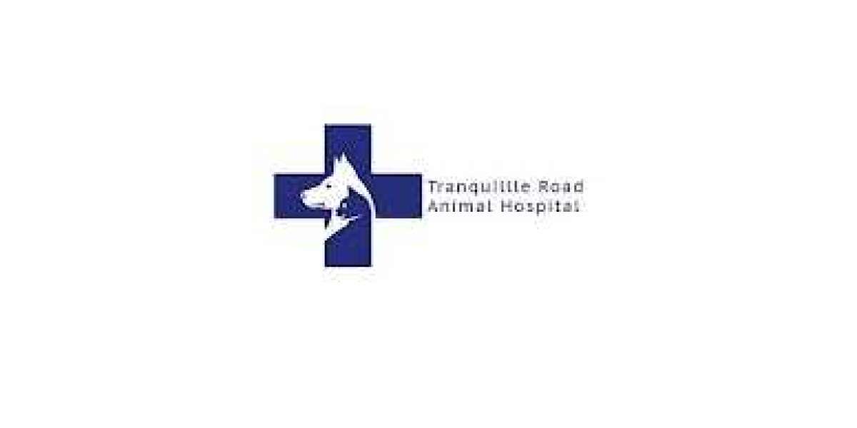 A Full Spectrum of Services by Tranquille Vet Animal Hospital