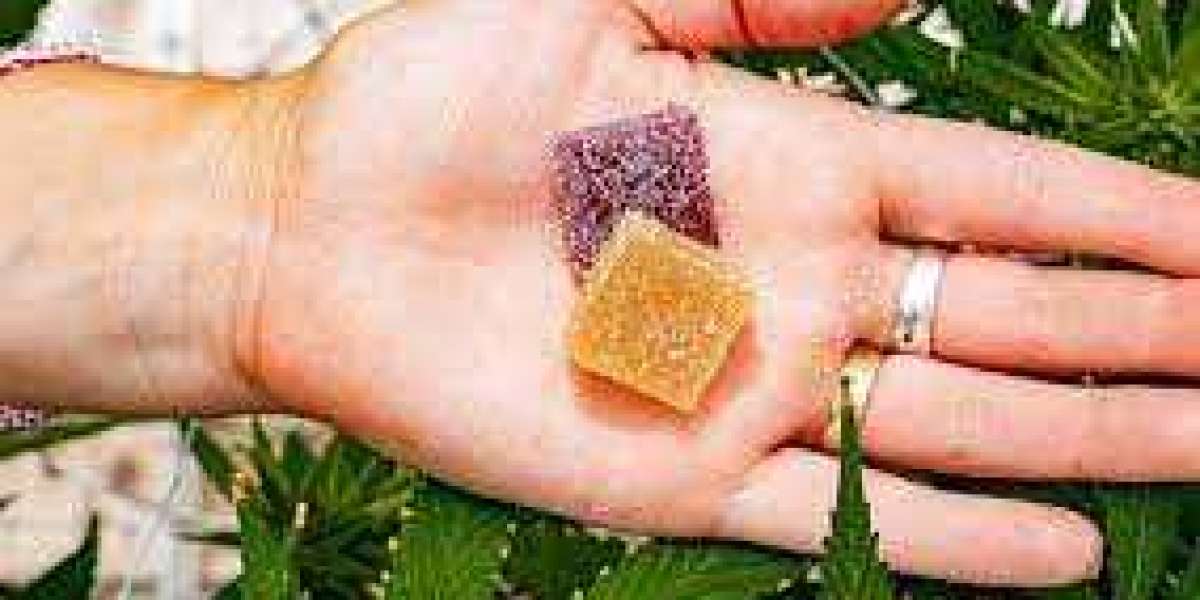 Do Daily Health CBD Gummies Is Beneficial For All?, Should I Buy It?