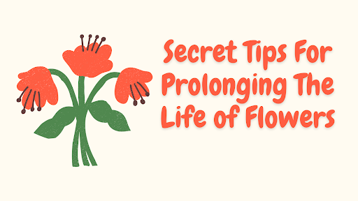 Secret Tips For Prolonging The Life of Flowers: Shlomo Yoshai