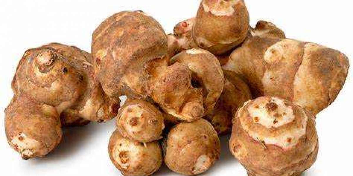 Inulin Market 2022-27: Industry Trends, Size, Share, Growth, Report and Forecast