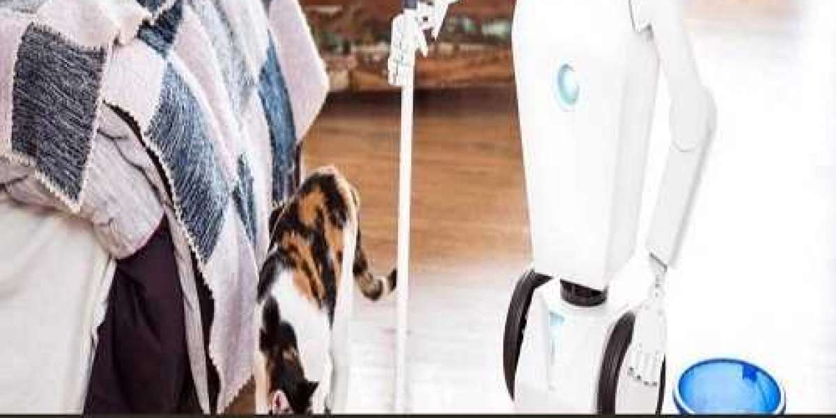 Global Household Robots Market Size Study, By type, By Application and Regional Forecast to 2022-2027