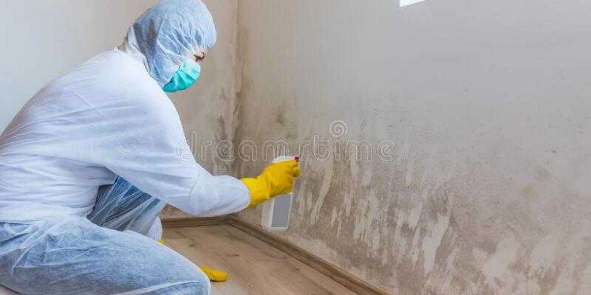 7 TIPS FOR CHOOSING PROFESSIONAL MOLD REMOVAL SPECIALISTS