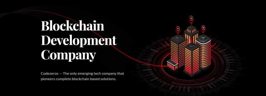 Codezeros Technology Cover Image