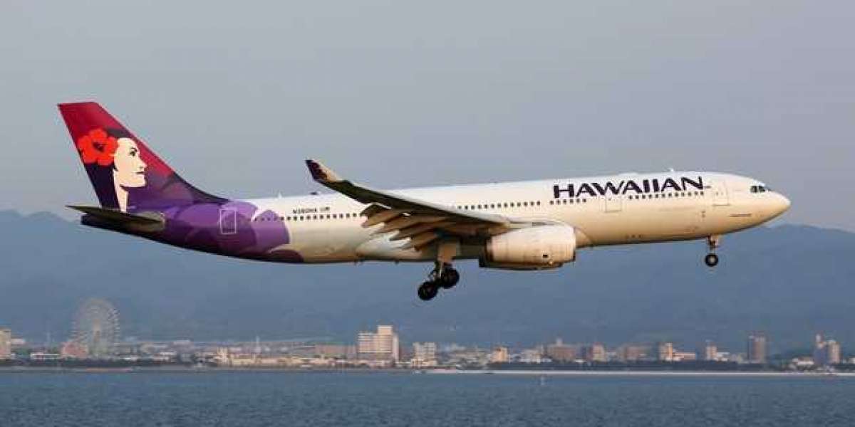 Hawaiian Airlines Check-in