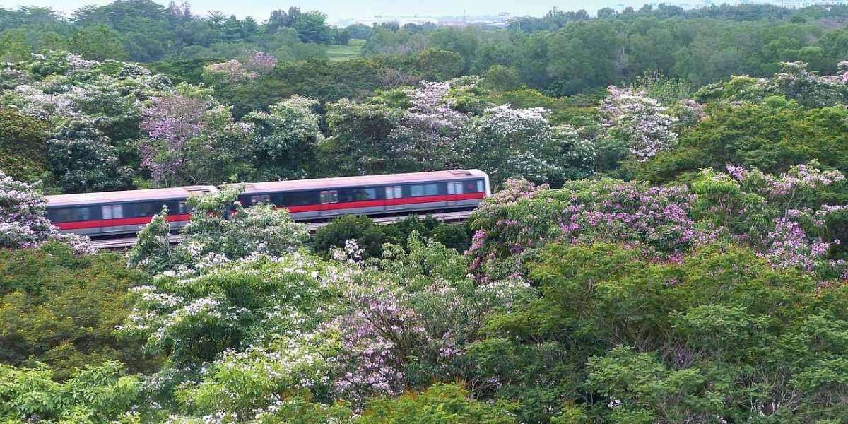 Bus and train fare formula to be reviewed in Singapore